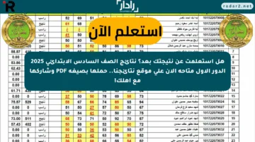 هل استعلمت عن نتيجتك بعد؟ نتائج الصف السادس الابتدائي 2025 الدور الأول متاحة الآن على موقع نتائجنا.. حملها بصيغة PDF وشاركها مع أهلك!